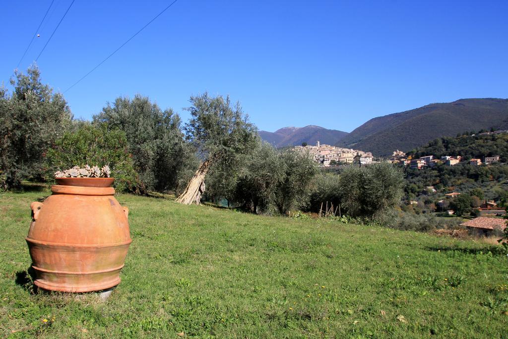 B&B Colle Perrini Country House Casperia Dış mekan fotoğraf
