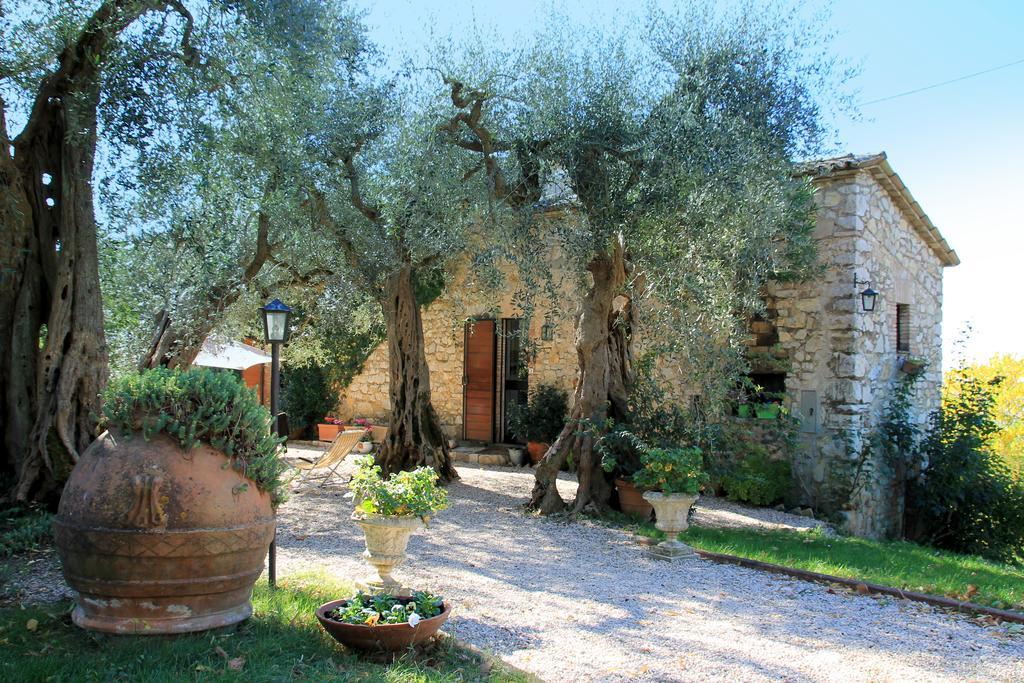 B&B Colle Perrini Country House Casperia Dış mekan fotoğraf